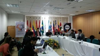 Participaram da reunião representantes de oito países (Foto: Sandra Beltrán)