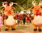 Prefeitura de Campo Grande abre programação de Natal na quinta-feira