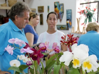 Mostra terá como expositor o Orquidário Linda Flor. (Foto: Reprodução/Internet)