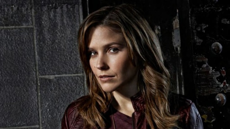 Sophia Bush entra para o elenco de Grey’s Anatomy